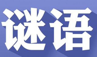 适合一年级孩子的谜语 5个一年级的谜语及答案