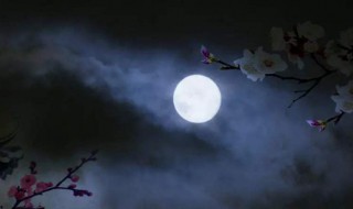 月黑风高夜的下一句是什么 原话是怎么说的呢