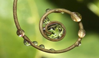 美到极致的句子 让人一看就倾心