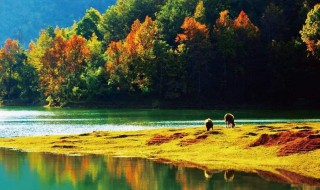 秋天海边的诗句 有哪些