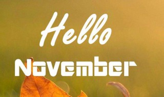 适合十一月发的说说 十一月应景的励志说说精选