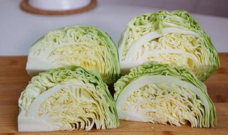 圆白菜要焯水多久 炖白菜具体做法