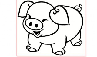 2019什么年生肖年 2019是什么生肖年