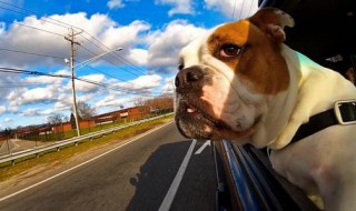 女人梦见坐车什么意思 周公解梦为你解吉凶