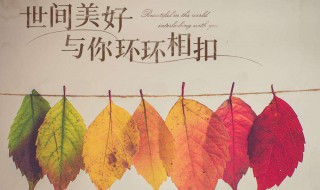 世界美好与你环环相扣原唱歌词 是谁唱的