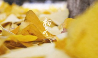 11月深秋已过冬天的诗句 深秋初冬的诗句