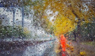 描写冬雨最美的诗句 与冬雨有关的优美句子推荐