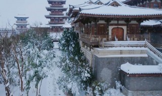 鹤唳华亭多少集 鹤唳华亭的介绍