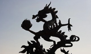 属龙人的后半生苦吗 答案在这里