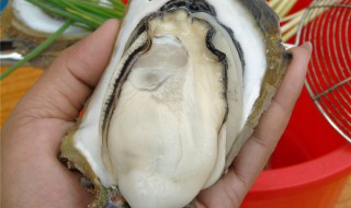 女人吃生蚝的坏处 简单介绍一下