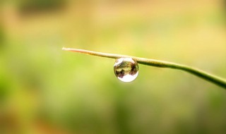 适合冬雨的早晨句子 十句描写冬雨早晨的句子