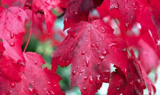 下雨简短走心的句子 句句走心