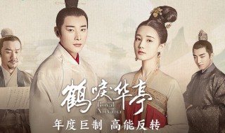 鹤唳华亭评分 剧情简介