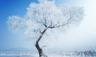 下雪有意境的唯美短句 句句牵动人心