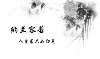 纳兰容若经典诗句 纳兰词中最唯美的句子