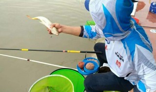 调4钓2的正确方法 你应该学一学