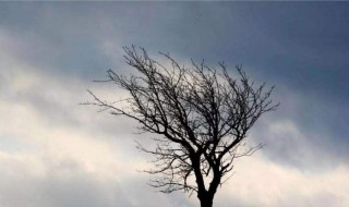 刮风天冷的句子 刮风天冷的例句