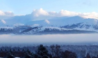 入冬的诗句 你有学过哪首