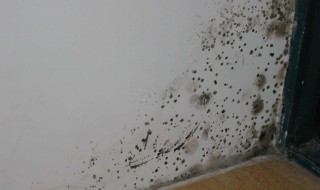 小苏打去霉斑的方法 去霉斑还有什么方法