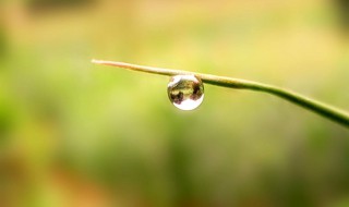 关于冬雨的情感句子 这些句子非常好