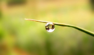 冬雨的心情经典句子 你知道有哪些吗