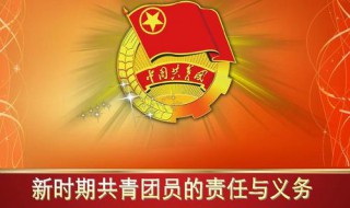 共青团员的义务是什么 共青团员的六大义务
