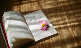 勐怎么读 是什么意思呢