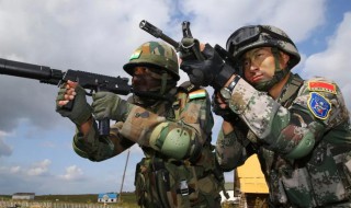 肖云鹏见老班长是什么电视剧 肖云鹏电视剧简介