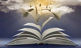 关于书的比喻句 有哪些关于书籍的比喻句