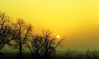 冬日暖阳的句子 很温暖