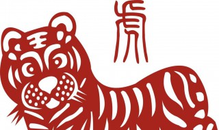 属虎女几月出生最好 属虎之人什么时辰出生比较好