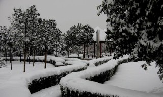 河南春节有雪吗 瑞雪兆丰年