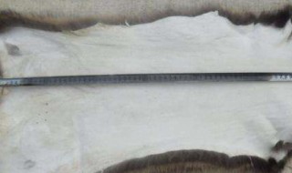 熟皮子最简单的方法 需要5个步骤