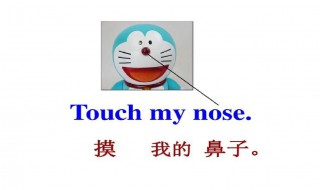 鼻子的英语怎么读 以及关于身体部位的英语单词