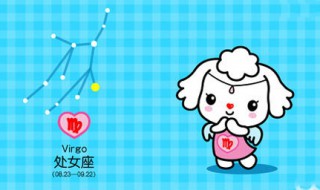 处女座喜欢什么样的女生 你觉得对吗