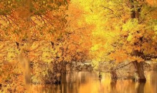 秋末初冬的句子 优美短句