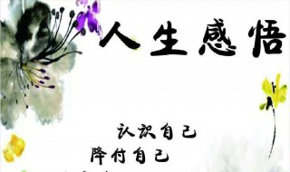 酒感悟人生的句子 这些句子非常好