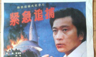 紧急追捕大结局 江武和郝树抓获