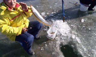 冰钓如何找气泡找鱼 冰钓找鱼有妙招