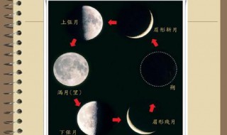 1990年11月6日农历多少 农历是什么