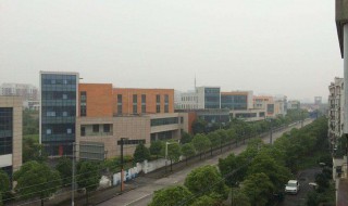 浦江镇地理位置 你知道具体位置吗