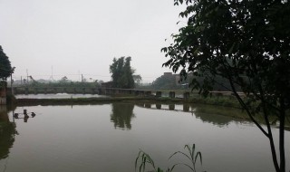 岭南水乡地理位置 你知道在哪吗