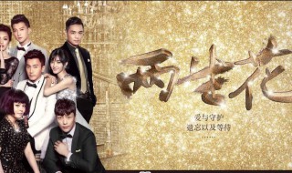 林乔颜宋是什么电视剧 分别是谁演的