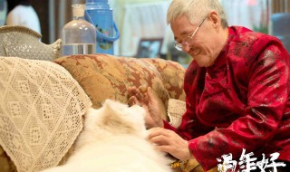 李羊朵什么电影 电影的介绍