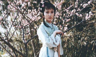 黛玉葬花原唱 很美的一首歌