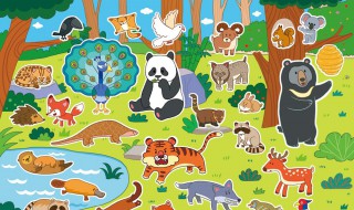 小动物英语单词 带你认识各种动物单词