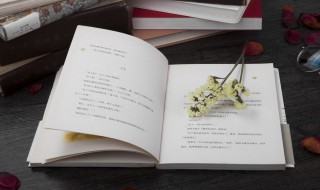 有时候的拼音 一起看看吧