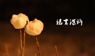 逝去的诺言歌词 无奈诺言倾刻变