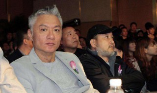 凌峰的扮演者 你知道是谁吗