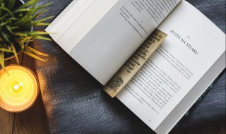 原委的拼音 大家可以学习一下